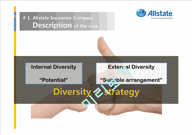 Allstate Insurance Company(Case Analysis and Presentation)   (2 )